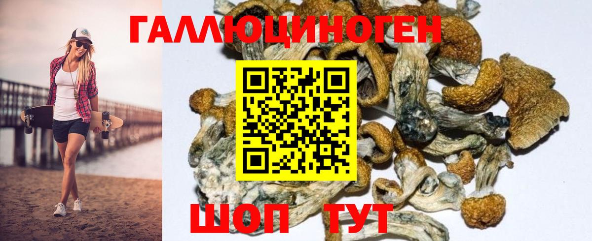 Галлюциногенные грибы Magic Shrooms  Вход с VPN  Стрежевой 